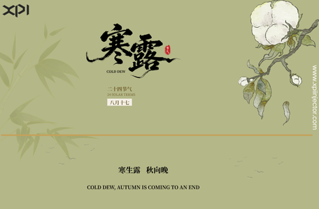 Common-Rail-XPI-Injector-Blog