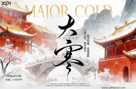 Embrace Major Cold with Assurance 1933613 XPI Injector Secure Your Diesel Equipment